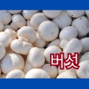 대안식품
