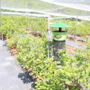 샘골농원 이미지