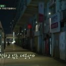 호랑이카페