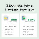 닷컴분식
