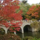 불국사박물관 이미지