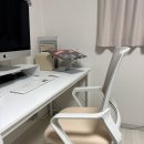 아보리오 | 남편 사무용의자 고르다 시디즈의자 대신 풀리오 웰워크 의자를 선택한 이유 (풀리오웰워크 내돈내산)