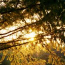 엔젤복지용구 이미지