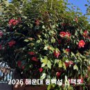 동백섬 | [해랑] 해운대 동백섬 산책 후기 BEST 공간 (사진 명소 &amp; 데이트 코스)