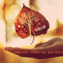 21시까지 음악올려요 (듣고픈곡 댓글주세요) 이미지