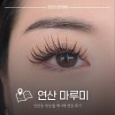 마루미뷰티 | 연산동 속눈썹 연장 마루미 애니메연장 맛집