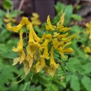 골뫼골명품마을 이미지