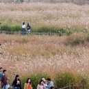 억새어린이공원 이미지