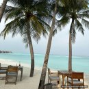 잉글리시북샐러드 | Lankanfushi 💚 2일차 - Kashiveli 조식부페, 전통북 체험, 아시안 스트리트 마켓 저녁뷔페 (내돈내산...