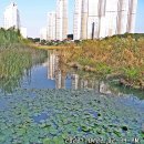 수원팔색길 여우길 이미지