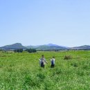 녹원목장 | 제주도 여행 : 런칭 이벤트로 즐긴 드론 자율비행 촬영 – 제주 오카(AUCA) 체험기