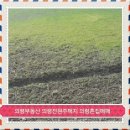 【의령부동산】【의령땅 470평 매매 의령토지】 【창녕부동산】 【창녕촌집】 이미지