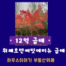 하우스이야기공인중개사사무소 이미지