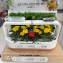 투인샵 이미지
