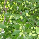 석봉1통경로당 이미지