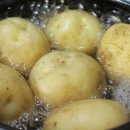 마스터피스호텔 이미지