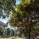 코코농장 2 이미지