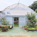 샤론2농장 이미지