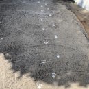 제주에 산다 이미지