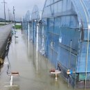 곡성-174 이미지