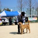 달아실 농원 이미지