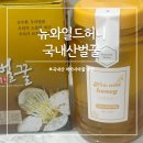 허니농장 | 국내산 아카시아꿀 벌꿀 추천 숲속자연농장 뉴와일드허니