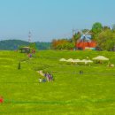 학암농장 이미지