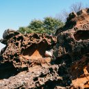 썬레저텔 이미지