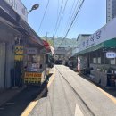 위례둘레길 | 마천역에서 출발하는 남한산 야생화 당근 등산 모임 후기