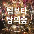 팔레트포레 이미지