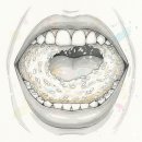 (주)바이오비 | ばんだい, 반다이) 준마이 다이긴죠( 純米大吟醸50)시음 후기. 당도 및 산도 측정. 미친 うま味(우마미).