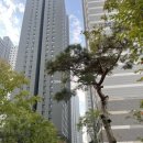 삼덕부동산중개 이미지