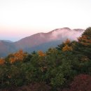 지리산 단풍비 이미지