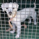 풍국그린맨션 이미지