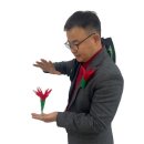 마술 쇼핑하우
