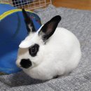 양승진커피 | 수족냉증온다 수족냉증온