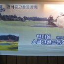 261골프