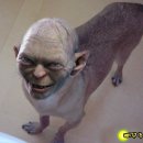인다 이미지