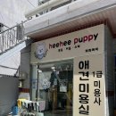 희희퍼피 이미지