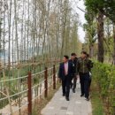 북정동 도시숲 이미지