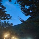 자연밸리 관광농원 이미지