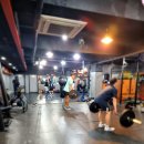 엑스오짐 이미지