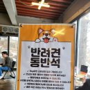 달리는체리마루 | 서울근교드라이브 맛집 추천! 양평 대디스바베큐 패밀리세트 후기
