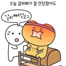 화정역필라테스 여성전용헬스장
