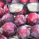 능금농장2 이미지