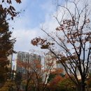 트리지움치과의원 이미지