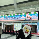 한국중소기업제품판로지원협동조합 | '2026 부산브랜드페스타' 역대 최대 규모인 187개의 지역 기업이 참여