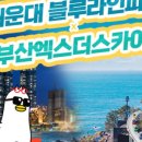 비와이컴퍼니 이미지