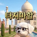 타지마할과 인도 이슬람 건축의 상징성 | 125 상식이 타지마할