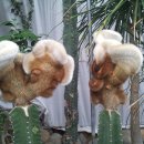 두꺼비농장 이미지